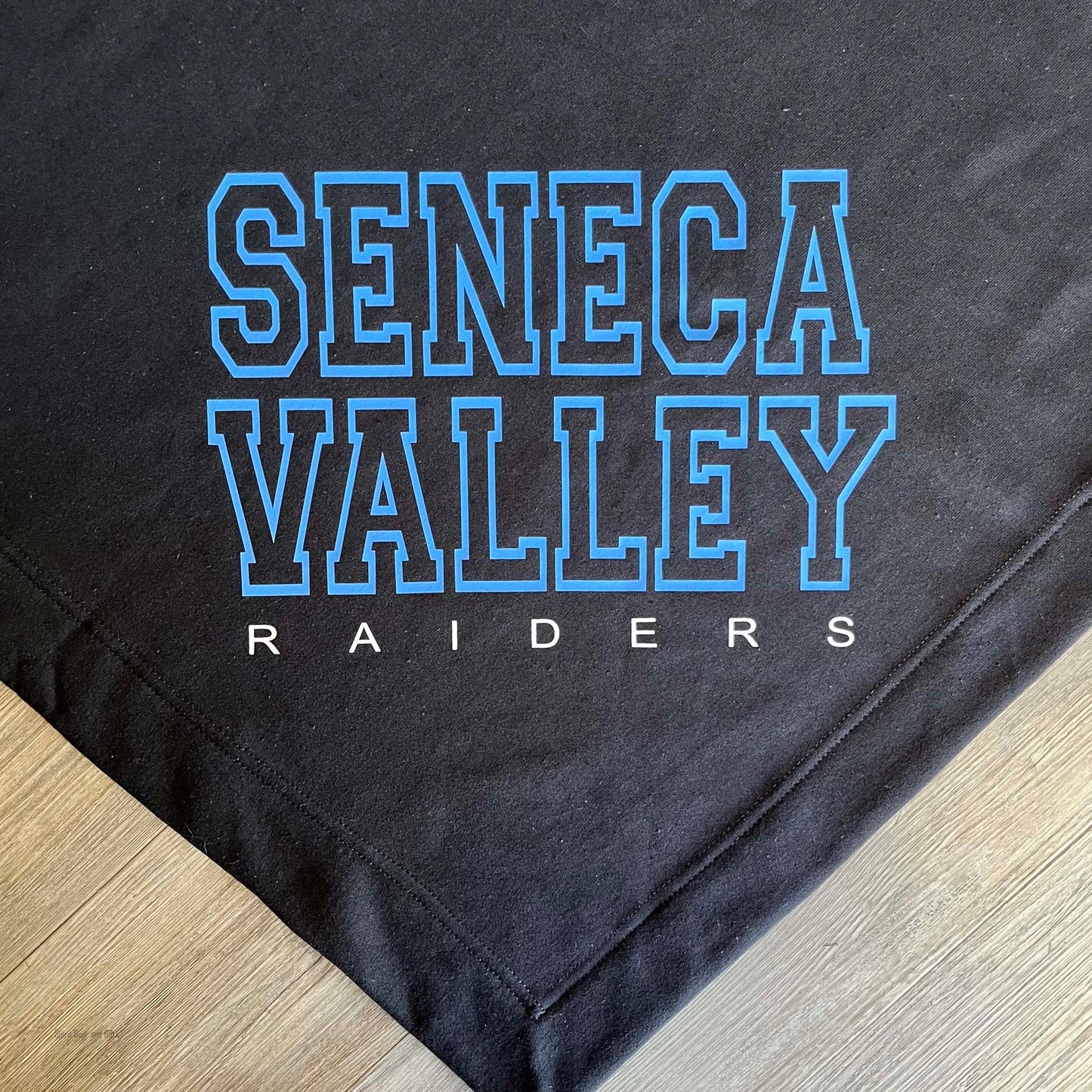 Raiders Stadium Blanket